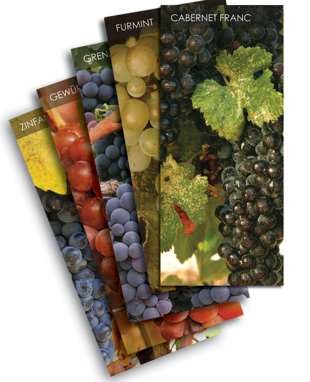 Vinifera Wine Card Deck