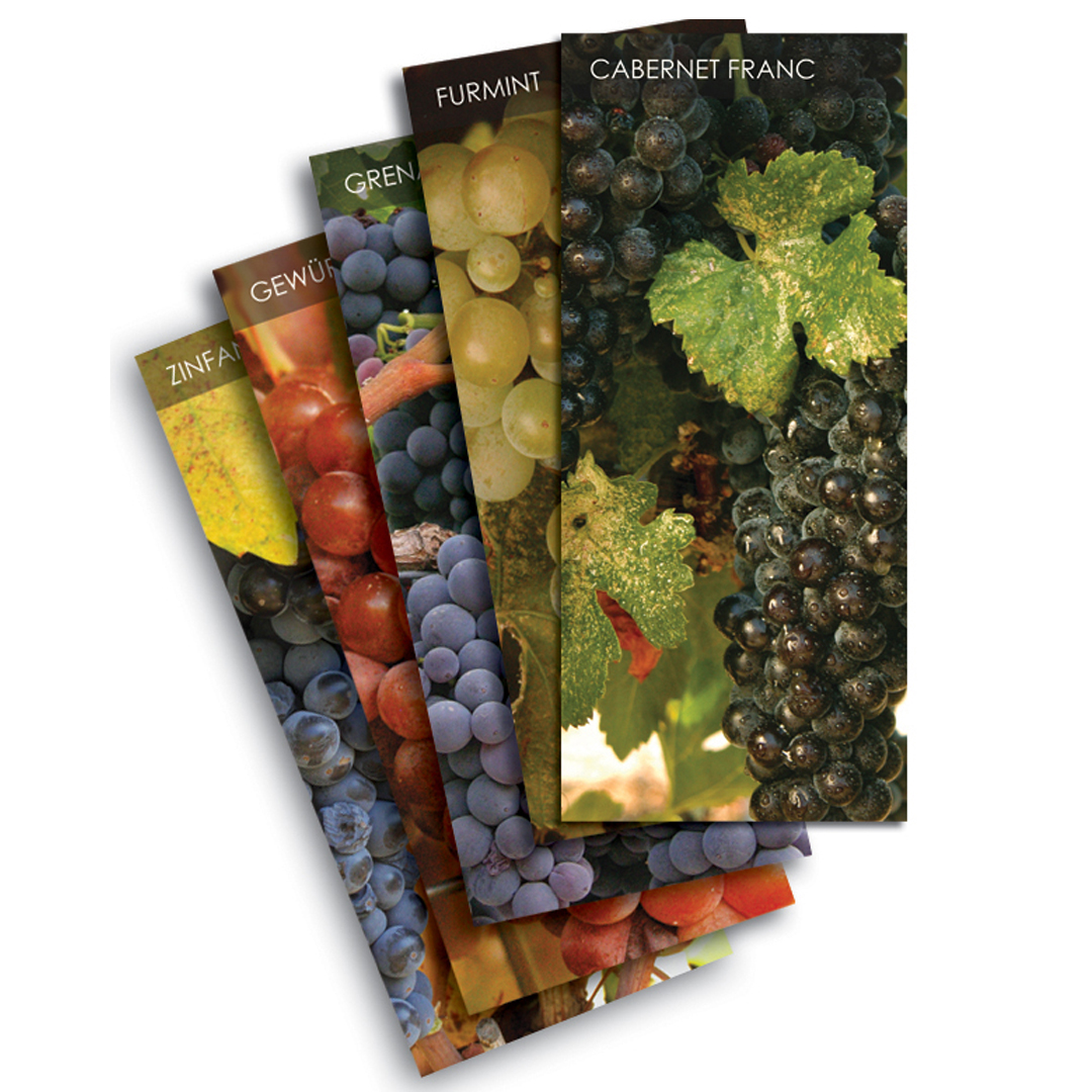 Vinifera Wine Card Deck